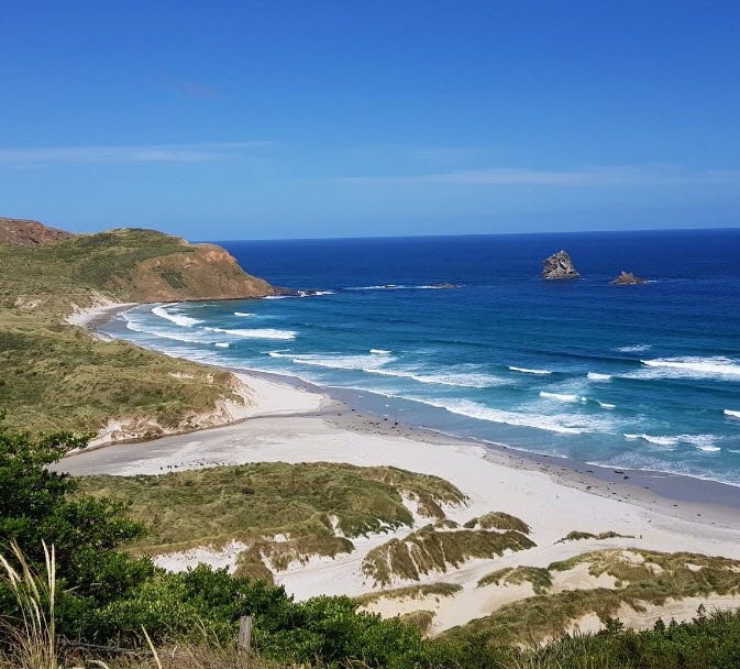 Sandfly Bay, New Zealand, New Zealand